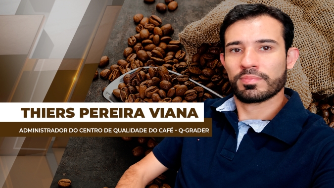 Colheita de café avança e mercado monitora qualidade da safra