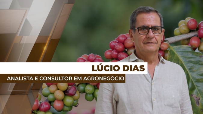 Demanda internacional para o café brasileiro está mais enfraquecida, destaca analista