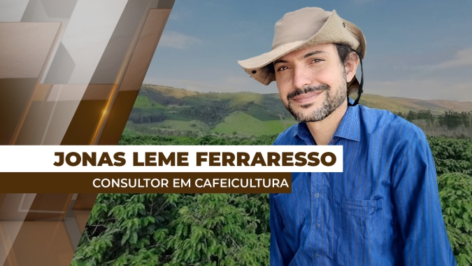 Forte onda de calor traz preocupação sobre a qualidade da safra de café 2025