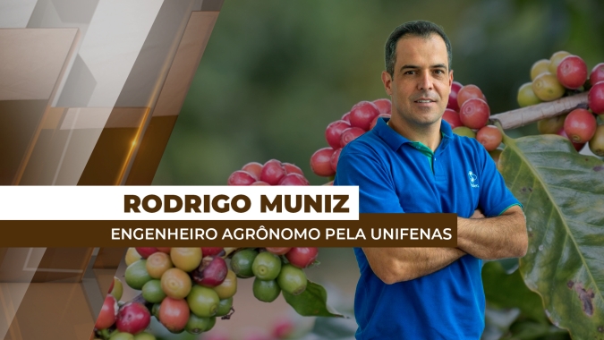 Brasil está há 5 anos sem produzir uma grande safra de café