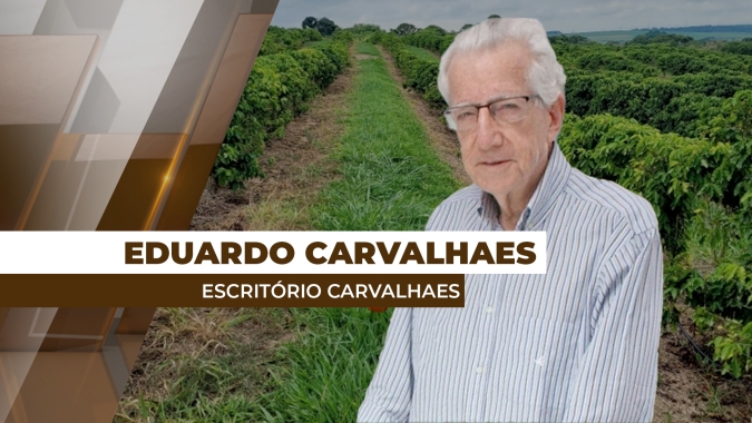 Escassez global de café faz mercado vivenciar momento histórico e preços testarem novos patamares nas bolsas internacionais