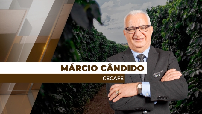 Café brasileiro deve voltar a ser mais competitivo com a entrada da nova safra