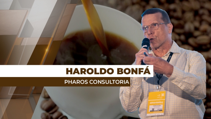 Mercado cafeeiro deve encontrar mais estabilidade nos preços com a entrada da safra 25/26