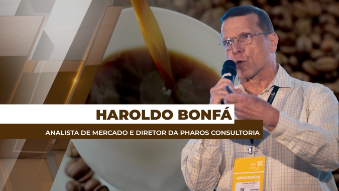 Café: Clima no Brasil será determinante para tirar mercado da lateralização especulativa
