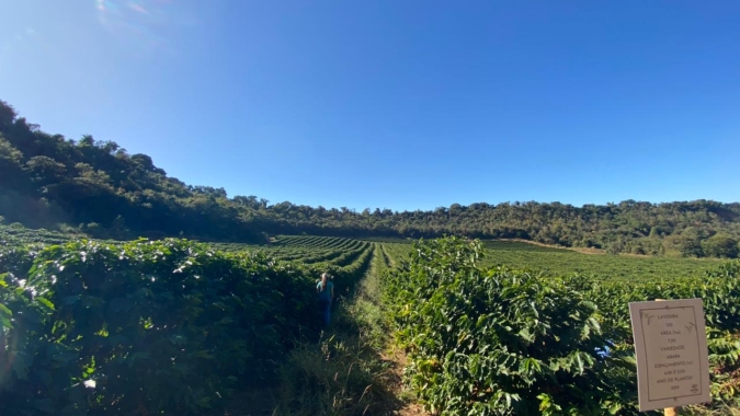 Embrapa apresenta oportunidade de patrocínio a iniciativa de agropecuária regenerativa