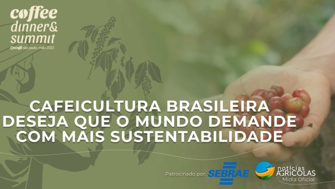 Cafeicultura brasileira deseja que o mundo demande com mais sustentabilidade