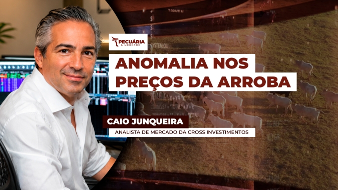 Pressão do boi em SP é diferente do que acontece em MT