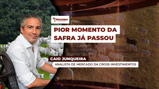 Arroba de US$ 65,00 já está no radar para o final do ano; preços ganham fôlego com redução na oferta de animais