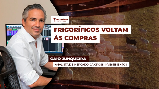 Mercado do boi tem leve melhora para arroba, de olho na demanda de início de mês