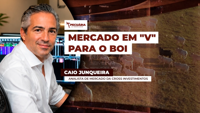 Cenário para o mercado do boi é de pressão pontual nos preços, mas com retomada das altas no último trimestre