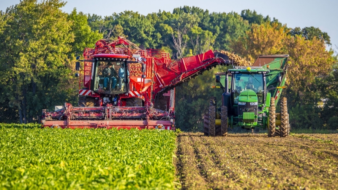 Com menor área de beterraba, UE deve perder 250 mil t de açúcar em 22/23, aponta USDA