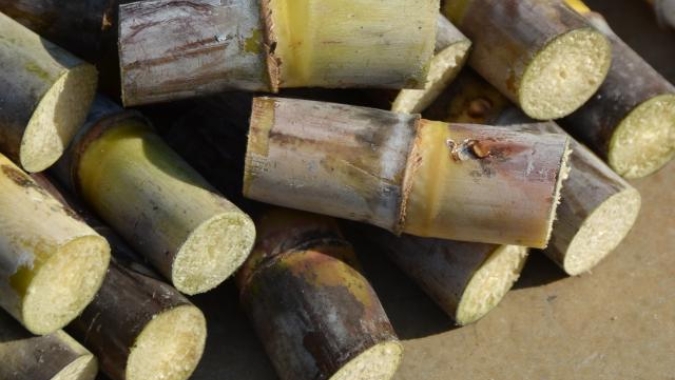 Preço do etanol hidratado no Brasil está cerca de 2% menor que açúcar Nº 11 em NY