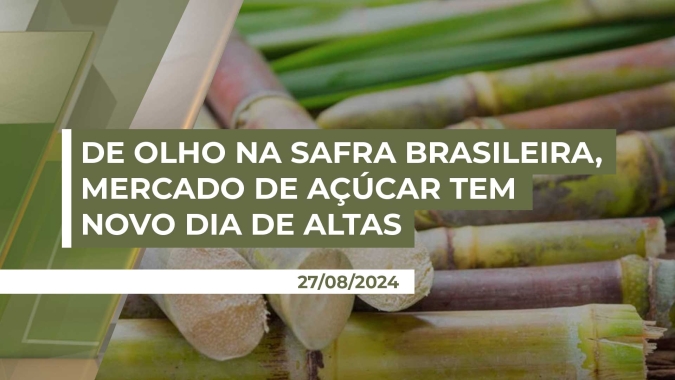 Açúcar: De olho na safra brasileira e nos efeitos das queimadas, mercado de açúcar tem novo dia de altas na Bolsa de NY