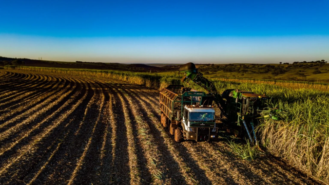 Custos de produção da cana-de-açúcar disparam com fertilizantes em preços historicamente elevados