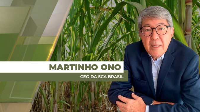 Safra 26/27 de cana-de-açúcar com preços pressionados e previsão de mais etanol