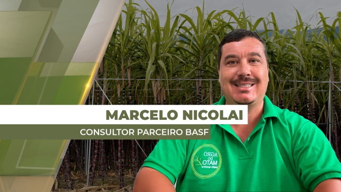 Controle prolongado e seletivo de plantas daninhas para ter mais produtividade nos canaviais