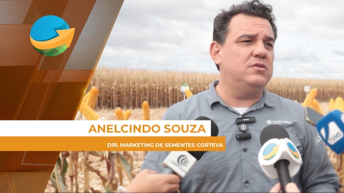 MS quer reverter cenário de produtividade estagnada e dificuldades climáticas no milho com uso de tecnologia