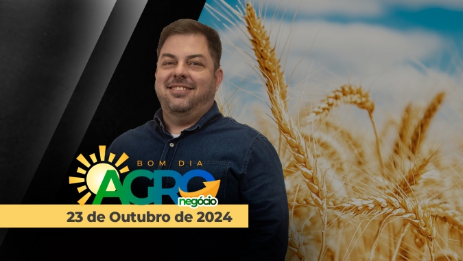 Bom dia Agro 23/10/24 - Mercado do Trigo, com Élcio Bento, Analista da Safras & Mercado