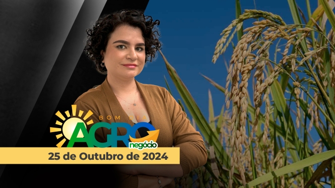 Bom dia Agro 25/10/24 - Mercado do arroz, com Alexandre Velho, Presidente da Federarroz