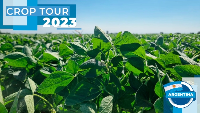 Plantio realizado mais tarde e melhores condições de clima dão mais suporte à soja e ao milho de Córdoba, mostra Crop Tour Argentina 2023
