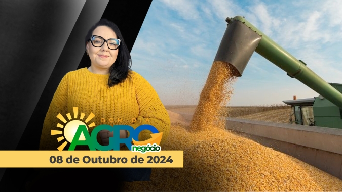 Bom dia Agro 08/10/24 - Crédito no agronegócio