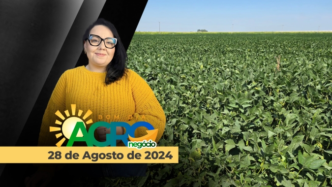 Bom dia Agro 28/08/24 - O que há de mais relevante na agricultura e no agronegócio