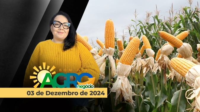 Bom dia Agro 03/12/24 - Mercado do milho