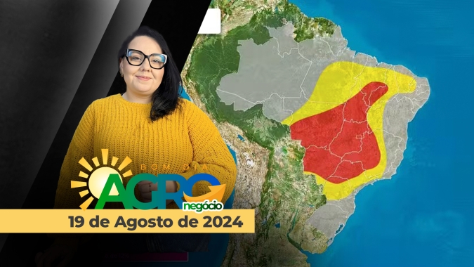 Bom dia Agro 19/08/24 - O que há de mais relevante na agricultura e no agronegócio