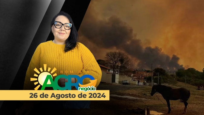 Bom dia Agro 26/08/24 - O que há de mais relevante na agricultura e no agronegócio
