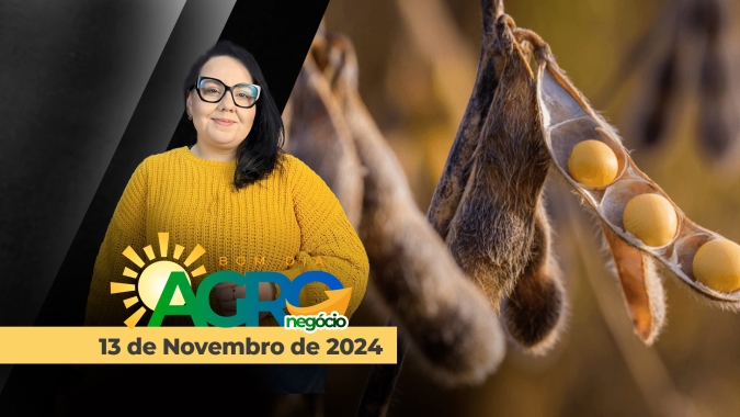 Bom dia Agro 13/11/24 - Pesquisa no combate à pragas e doenças, EUDR e tributação de insumos agrícolas