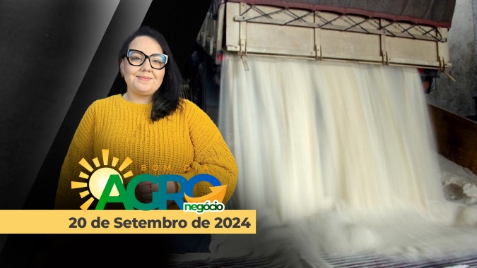 Bom dia Agro 20/09/24 - Mercado de algodão e altas fortes do açúcar