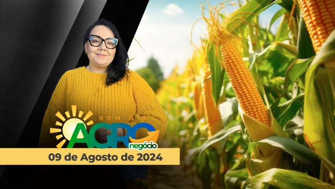BOM DIA AGRONEGÓCIO 09/08/2024 - MERCADO DO MILHO - Bernhard Kiep