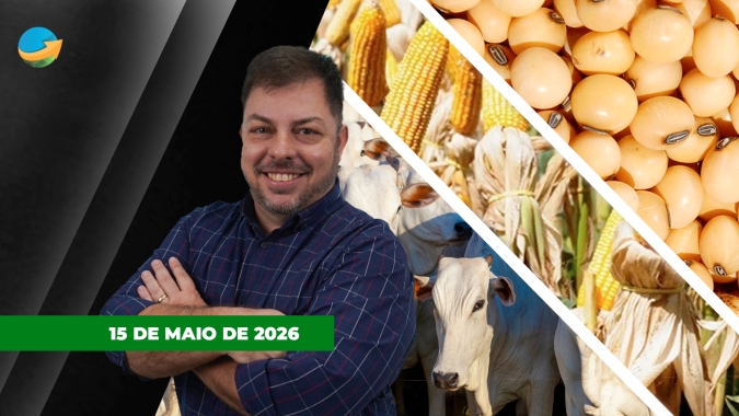 Soja recua pela segunda sessão seguida em Chicago e se distancia dos US$12/bushel; Boi gordo em SP encerra semana com pressão nos preços