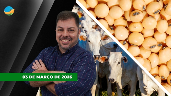 Frigoríficos fora das compras evitam nova rodada de alta para arroba; soja encerra em alta em Chicago apesar de mercado incerto e volátil