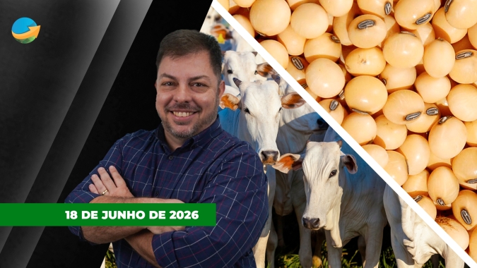 Soja tem dia de realização de lucros em Chicago; mercado do boi segue travado com incertezas sobre a demanda