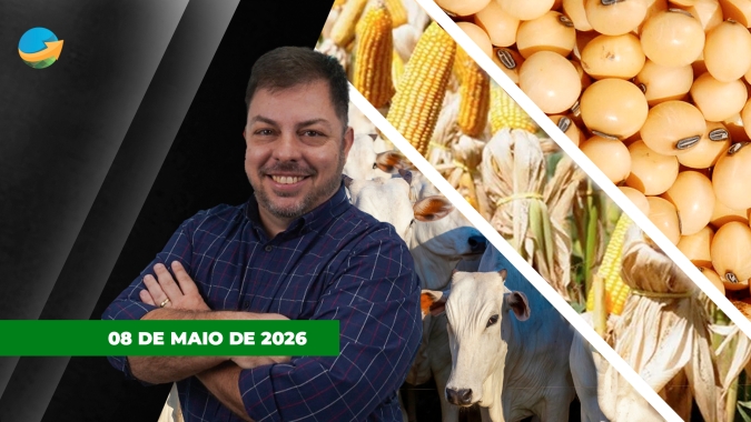 Preços de vaca e novilha recuam em SP; milho e soja encerram em alta em Chicago
