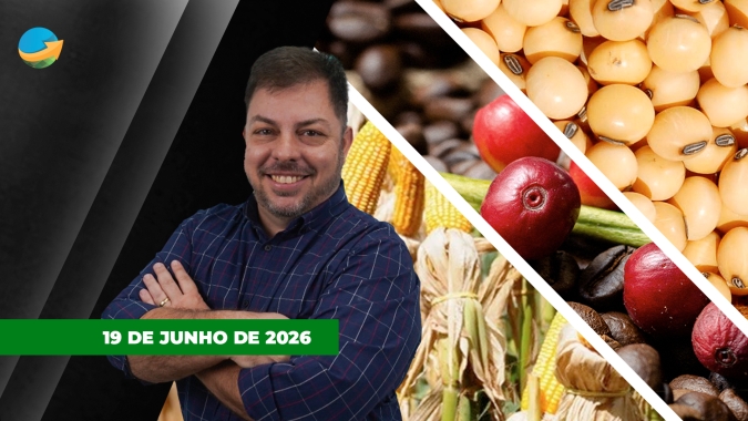 Com feriado nos EUA mercado de grãos tem dia de baixa liquidez; café segue focado na evolução da colheita brasileira