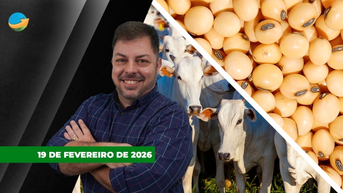 Boi China bate os R$350/@ em SP na volta do carnaval; soja segue alta do óleo e deixa aumento de área nos EUA em segundo plano