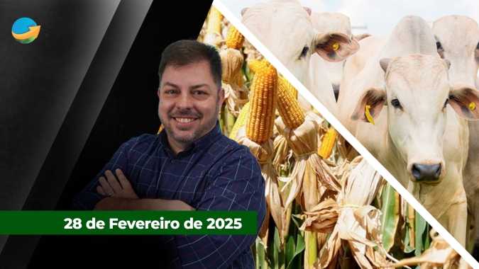 Mercado do boi gordo em ritmo de carnaval com poucos negócios e preços estáveis; Milho na B3 encerra fevereiro com ganhos expressivos, contrato março sobe 15%
