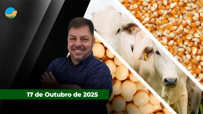 Sexta-feira encerra com alta na cotação do boi China em SP; dia positivo também para soja e milho em Chicago
