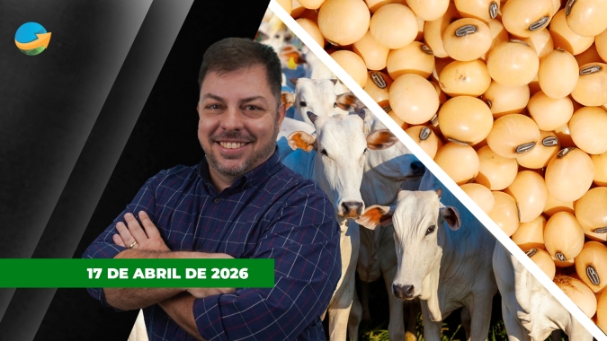 Soja e milho contrariam expectativa e fecham com leves altas em Chicago; boi tem semana de desaceleração nas altas