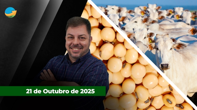 Alta do boi gordo lastreada na reposição , excesso de milho no mundo requer cuidado e soja da safra nova pode ficar abaixo dos três dígitos alerta analista