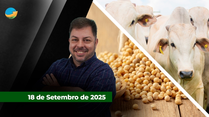 Nem na sexta-feira mercado do boi tem sossego e registra nova queda na arroba em SP; Soja também recua forte sem novidades na conversa de Xi e Trump