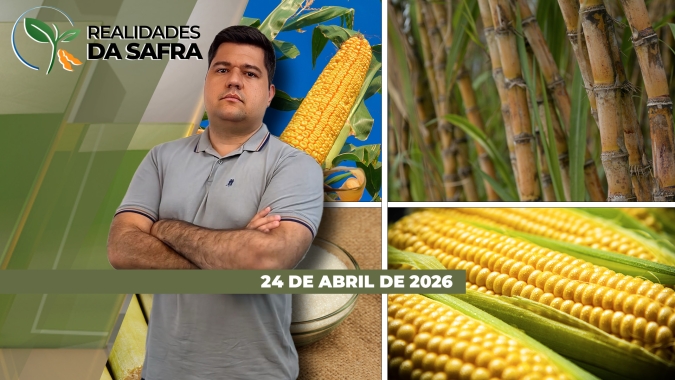 Com safra atrasada, Sidrolândia/MS enfrenta dificuldades com lagartas no milho, que se desenvolve bem em algumas regiões como MT, mas tem problemas em outras como PR