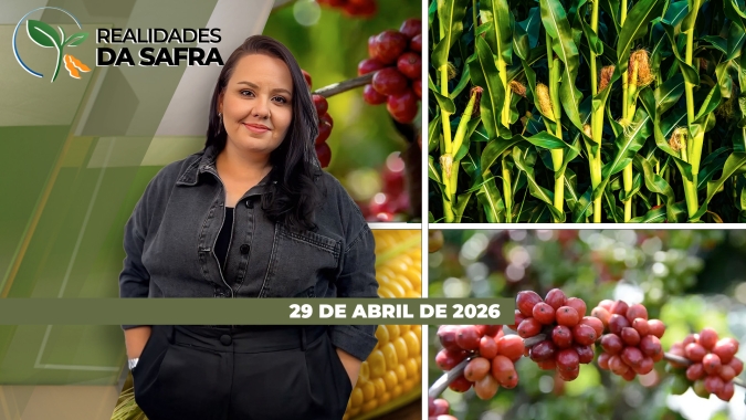 Produção de café conilon avança no Brasil e aumenta protagonismo, enquanto safra de grãos do RS vai se concluindo