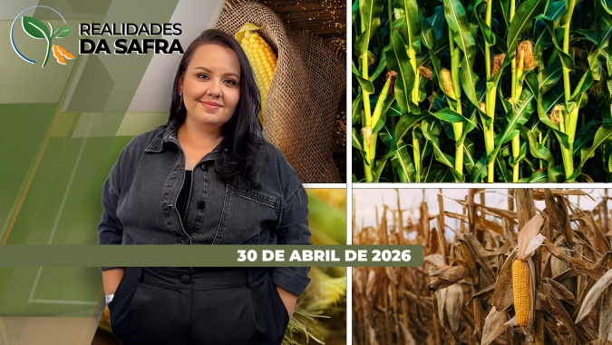 REALIDADES DA SAFRA - EDIÇÃO 30/04/2026
