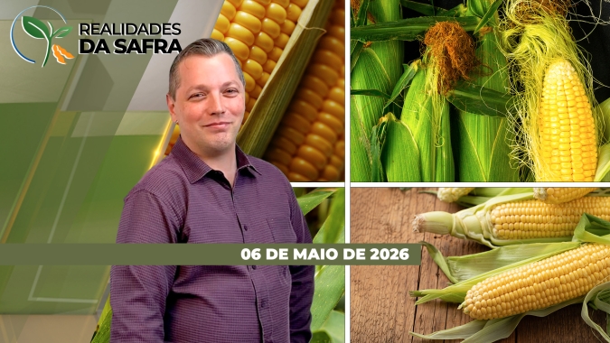 Produtores em Rondônia estão preocupados com a disponibilidade de insumos para o ciclo 26/27, enquanto que clima seco e pragas são o alerta para o milho de segunda safra