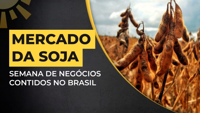 Soja: Chicago caminha lateralizado e semana é de negócios mais contidos no BR; atenção ao clima