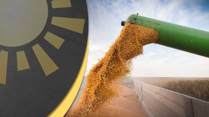 Milho: Produtores já têm margens negativas em algumas regiões do Brasil; atenção às exportações
