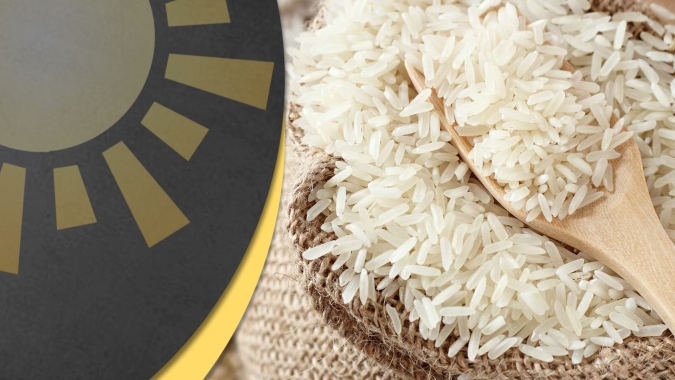 Leilão de arroz: Empresas desconhecidas pelo mercado arremataram maior parte do volume